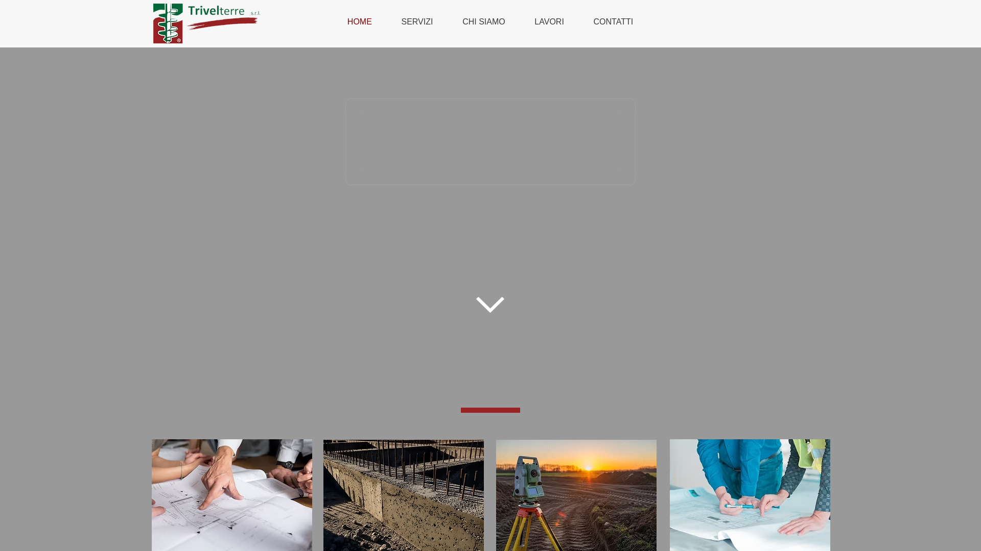 website screenshot of https://trivelterre.it