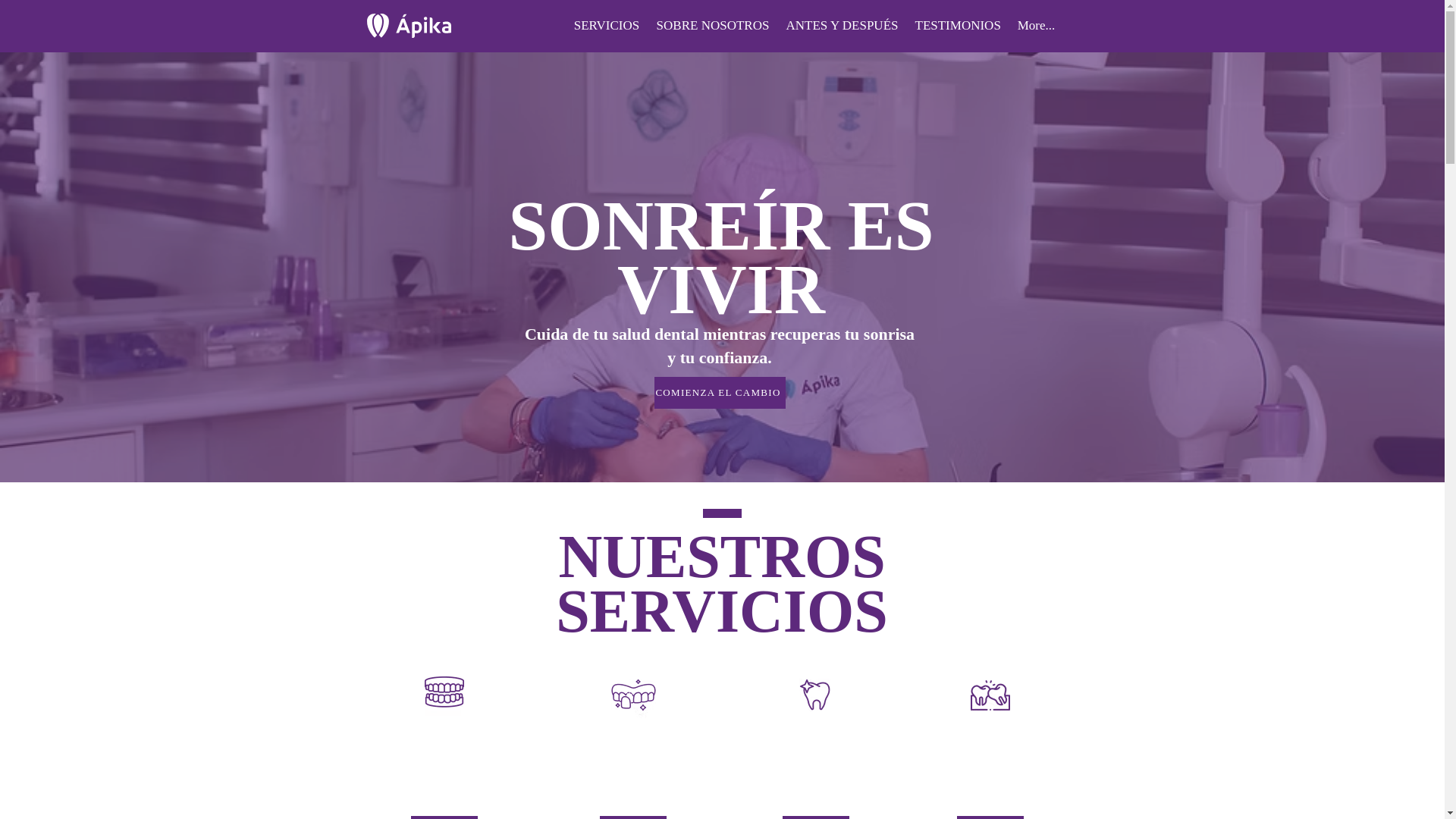 website screenshot of https://apikaclinica.com/