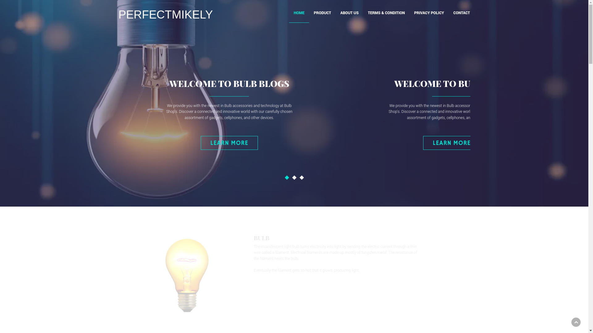 website screenshot of https://perfectmikely.com/