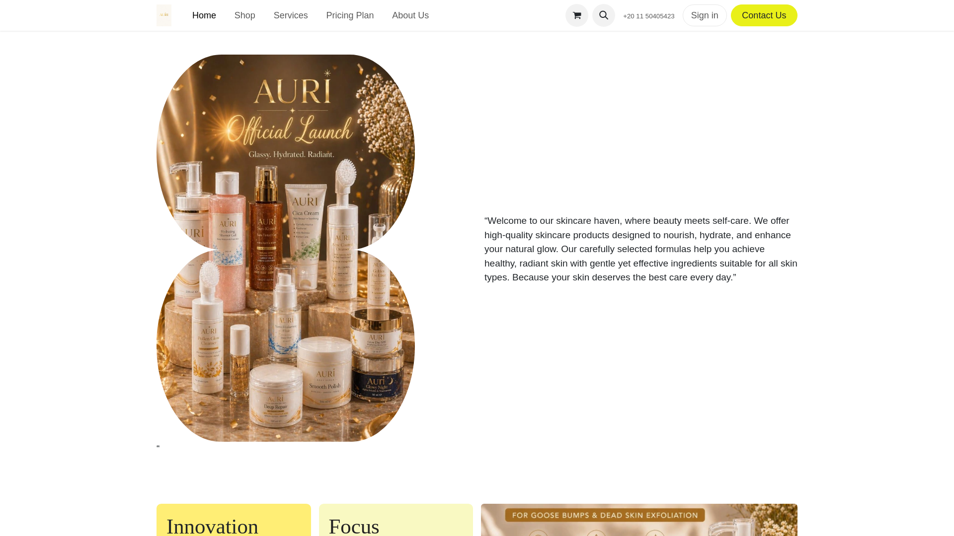 website screenshot of https://auriskin.net/