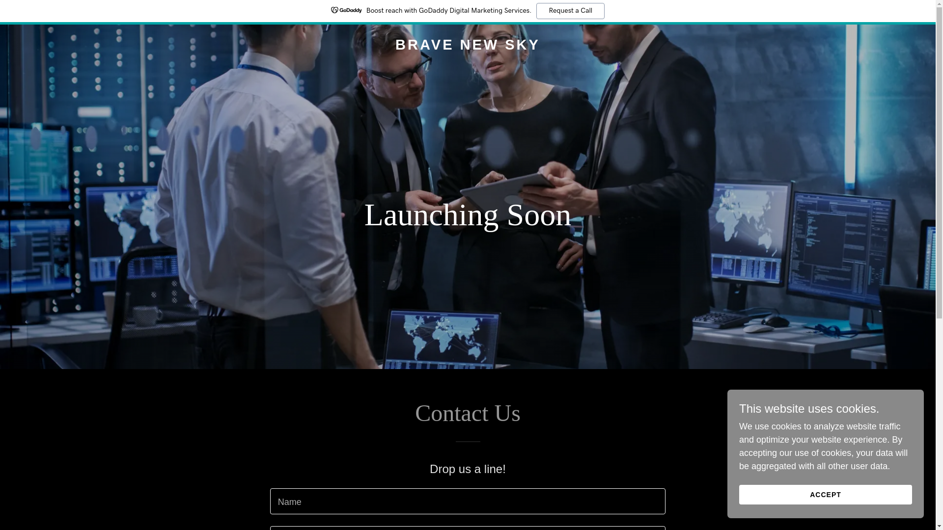 website screenshot of https://bravenewsky.com/