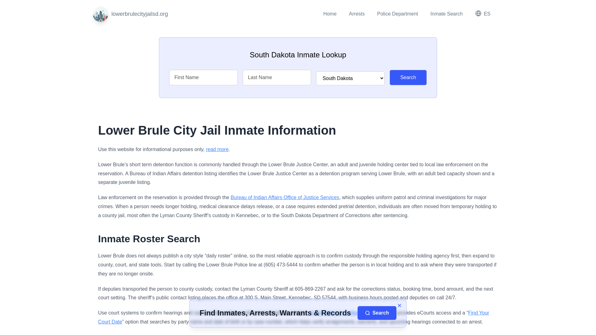 website screenshot of https://lowerbrulecityjailsd.org/