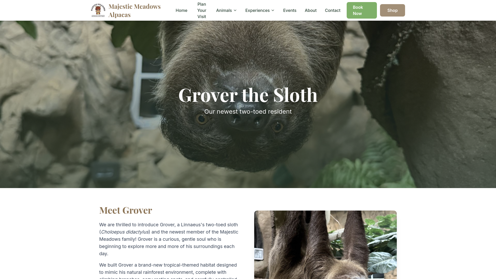 website screenshot of https://sloth-demo.pages.dev/