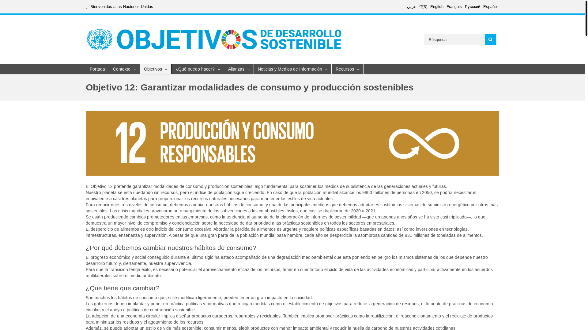 website screenshot of https://www.un.org/sustainabledevelopment/es/sustainable-consumption-production/