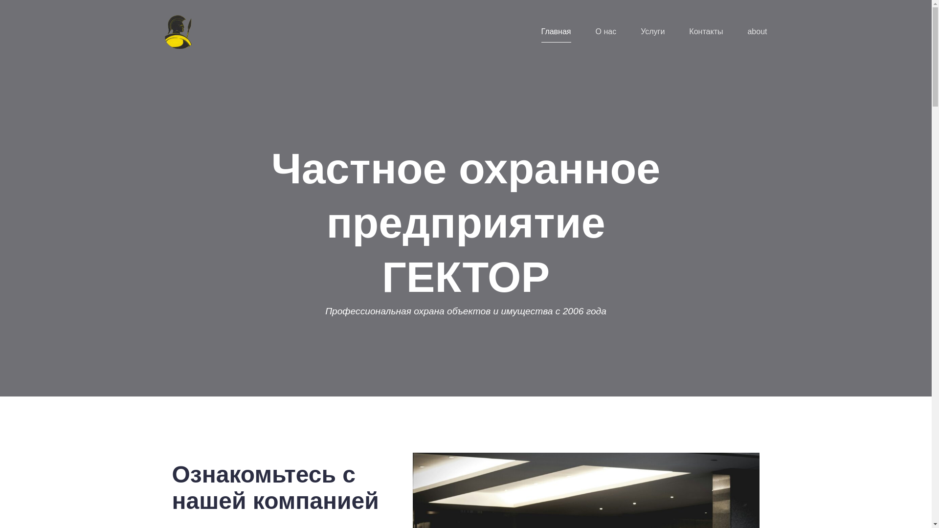 website screenshot of https://gektor55.ru/