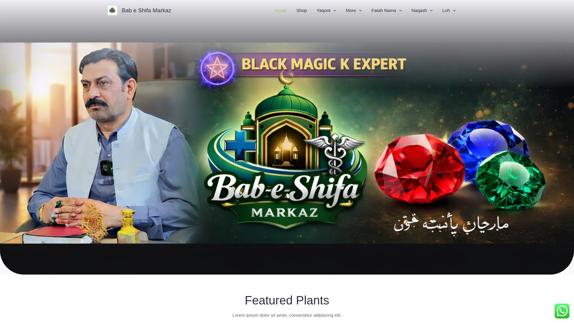 website screenshot of https://babeshifamarkaz.com