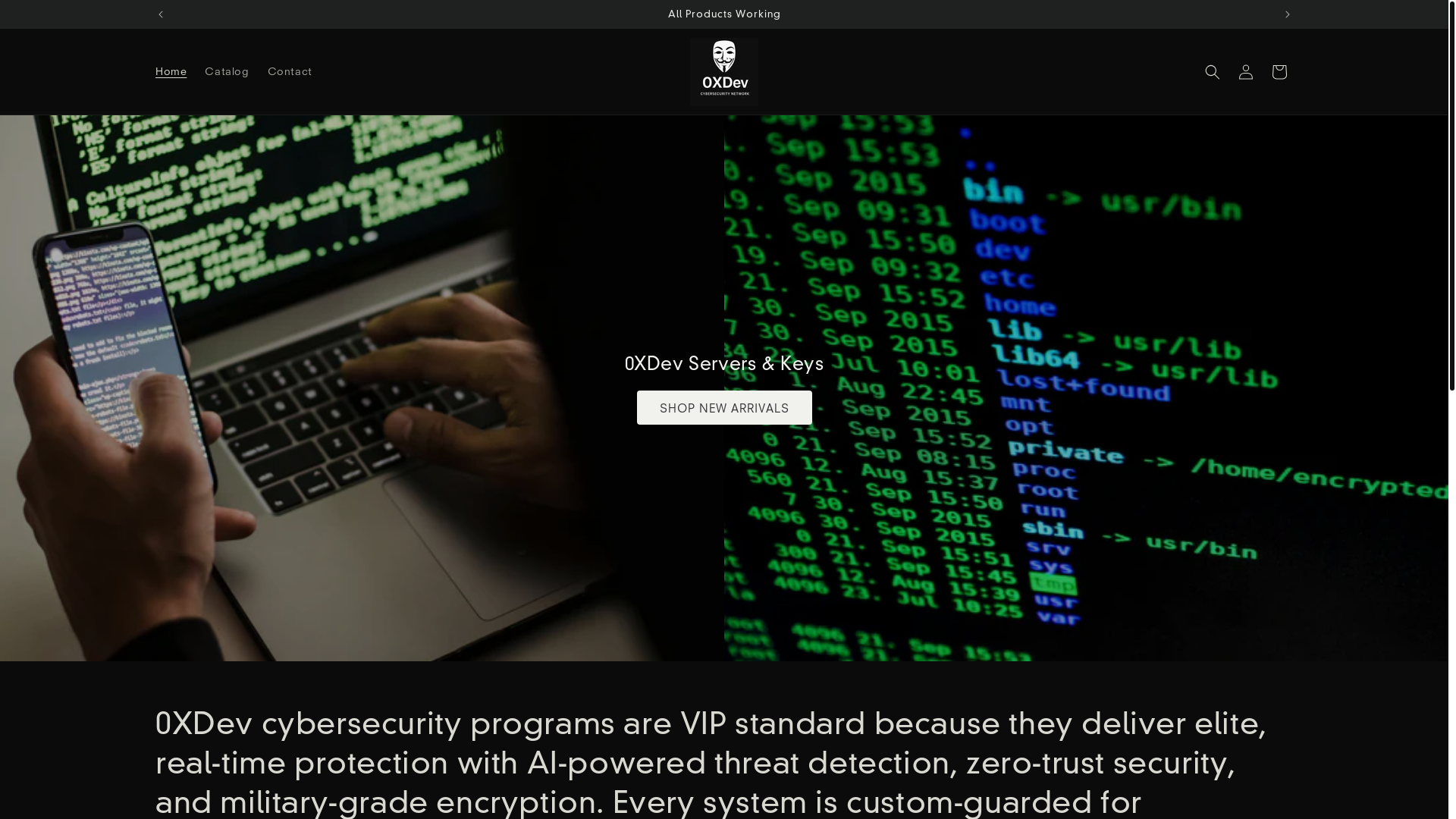 website screenshot of https://0xdevkeys.store/