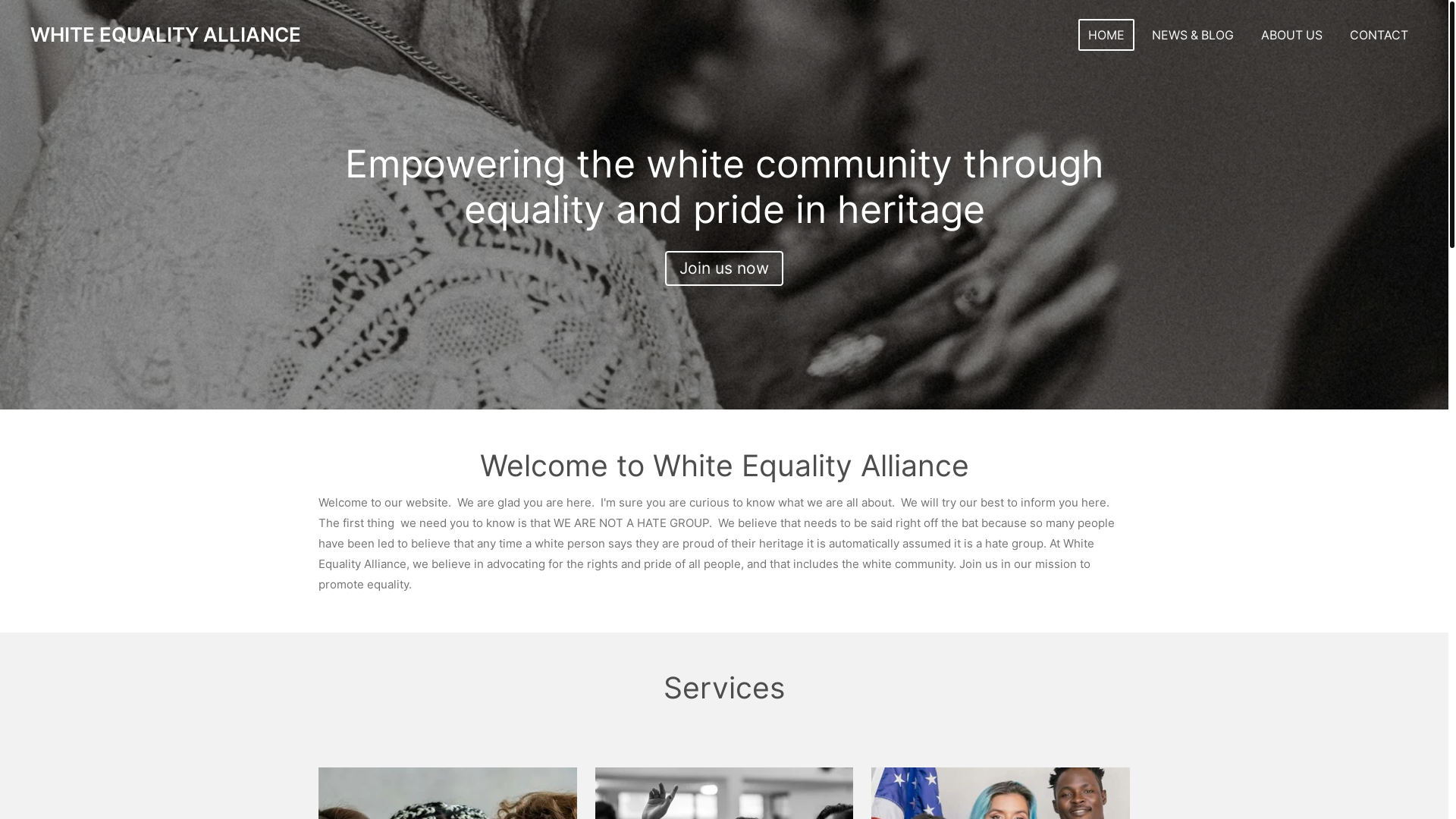 website screenshot of https://white-equality-alliance.org/