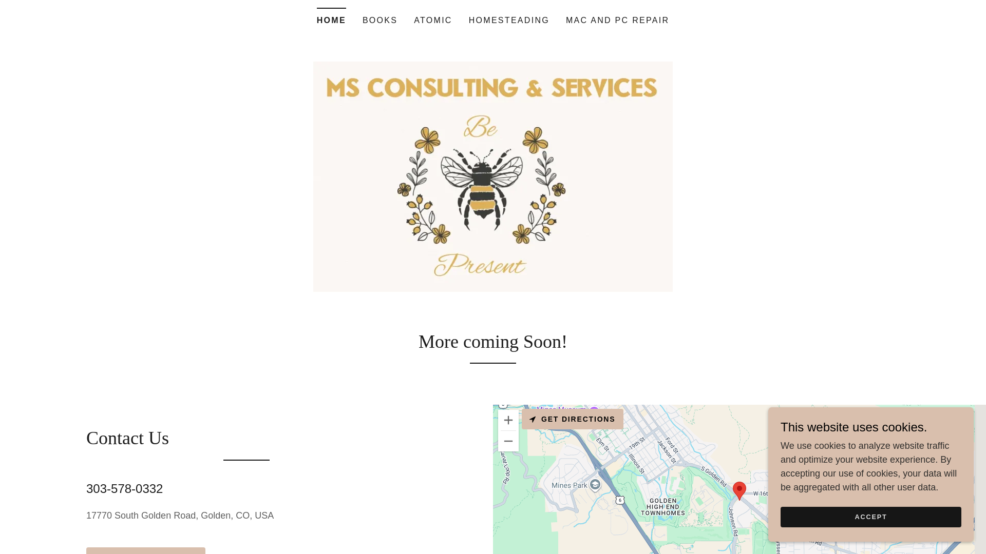 website screenshot of https://msconsultservice.com