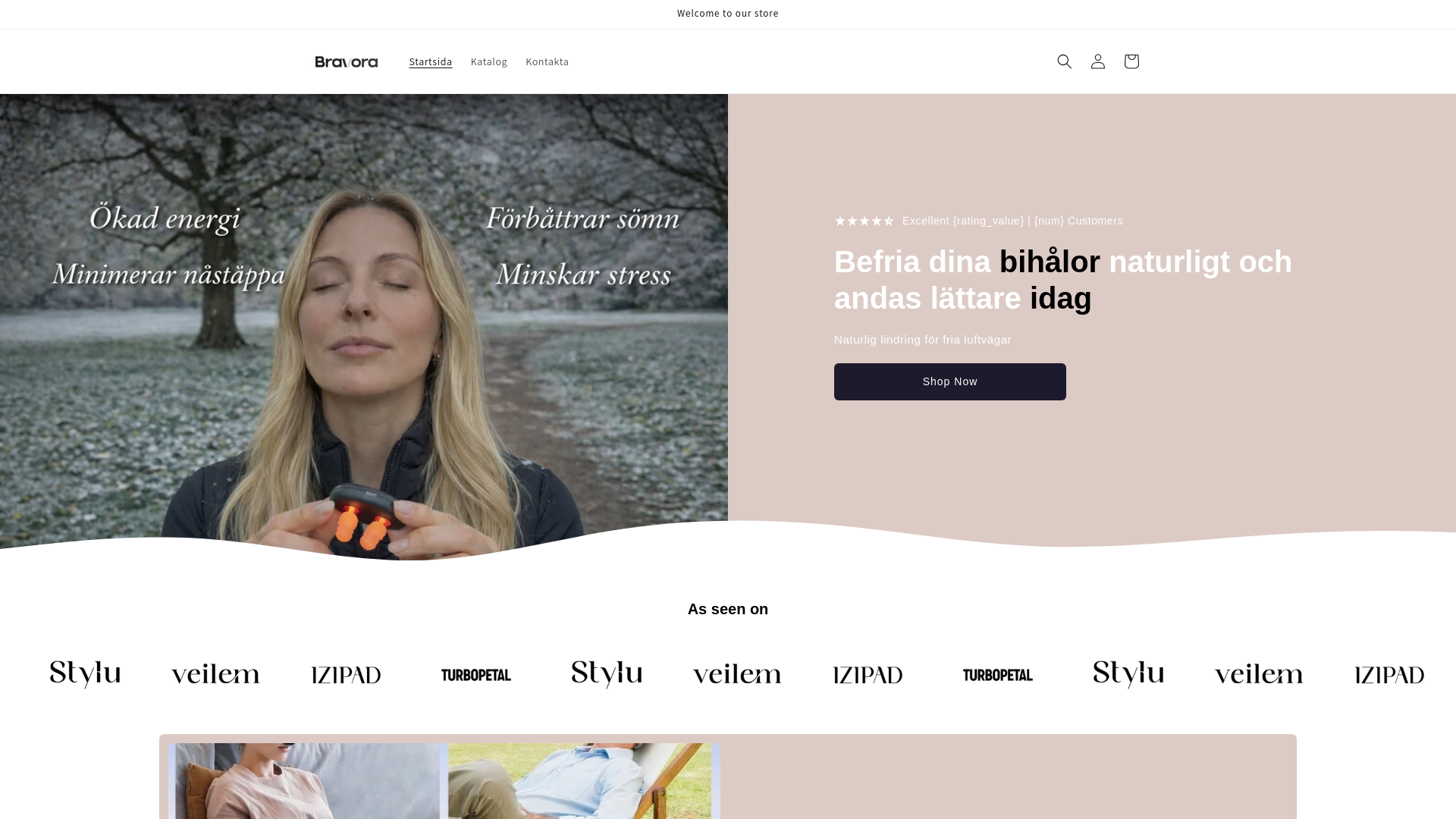 website screenshot of https://bravora24.com/