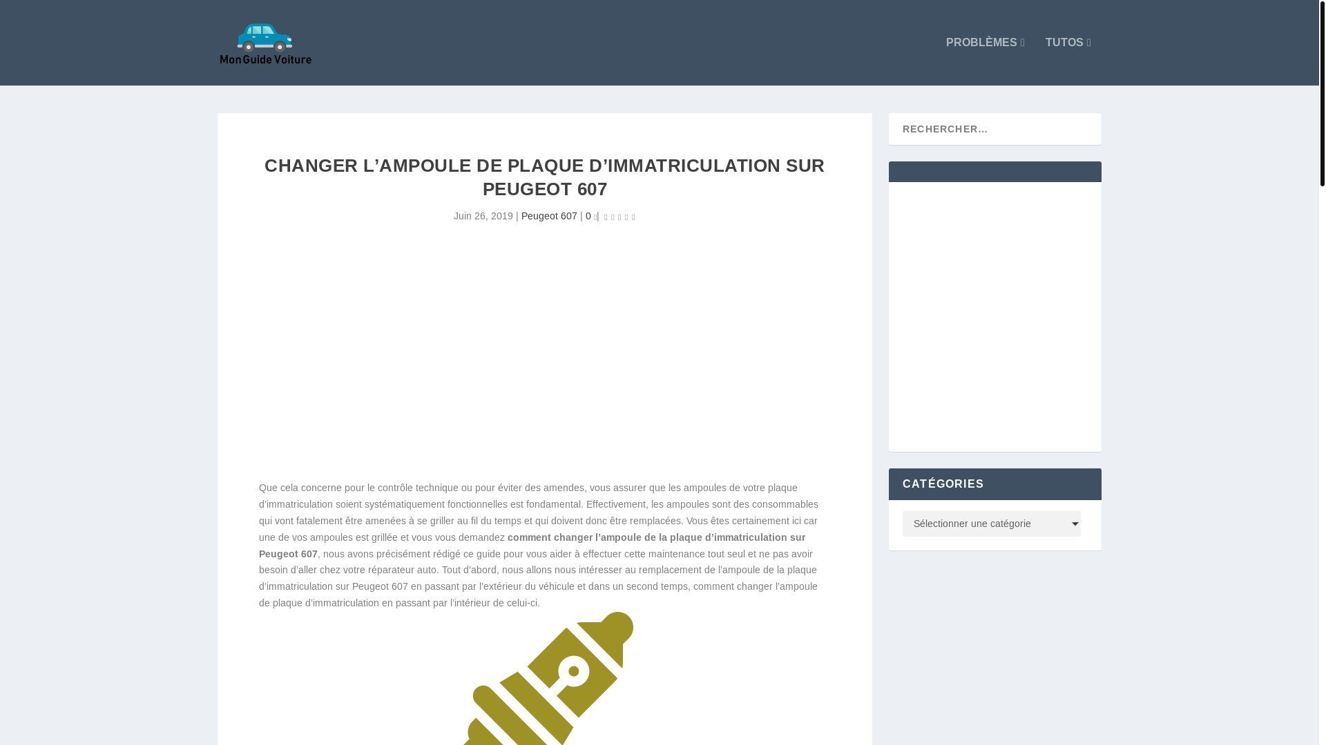 website screenshot of https://mon-guide-voiture.fr/changer-lampoule-de-plaque-dimmatriculation-sur-peugeot-607/