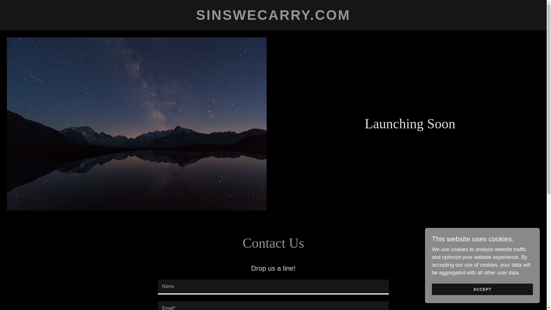 website screenshot of https://sinswecarry.com/