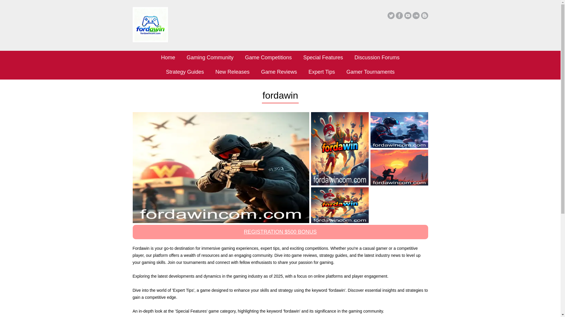 website screenshot of https://fordawincom.com/