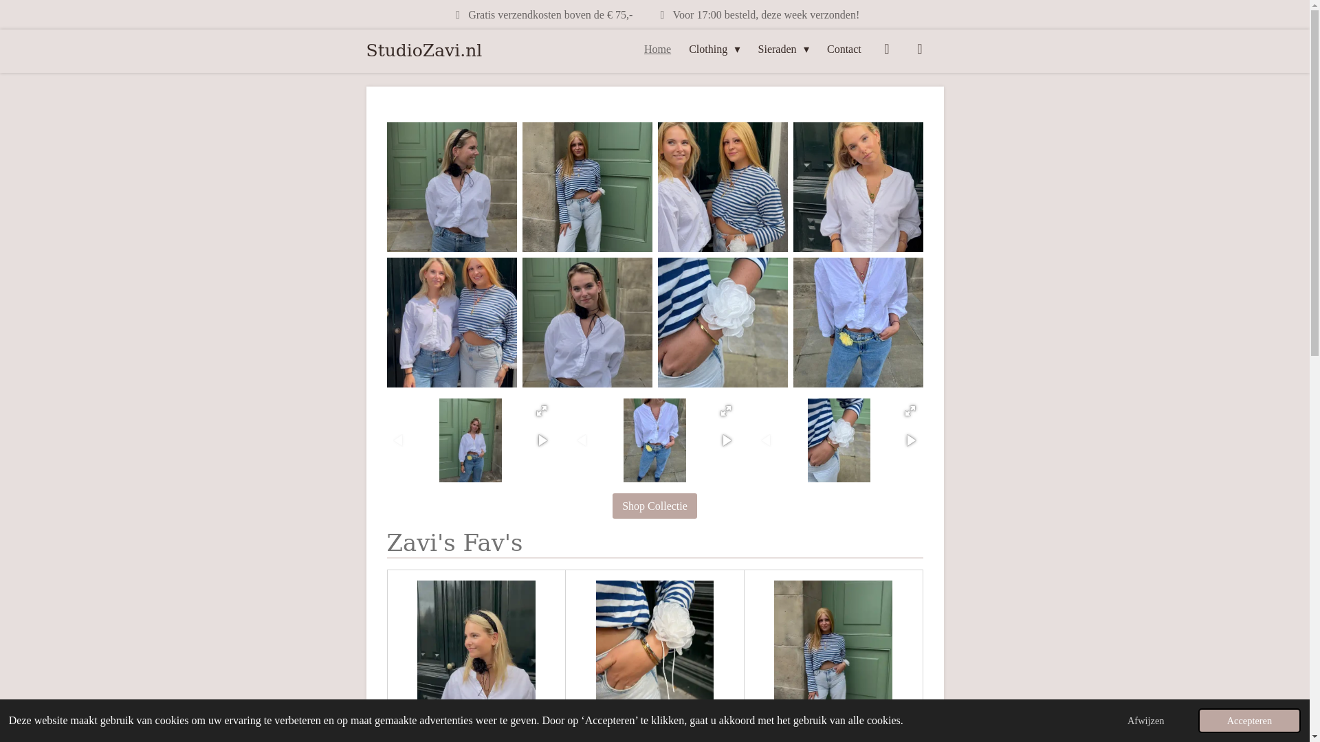 website screenshot of https://studiozavi.nl/