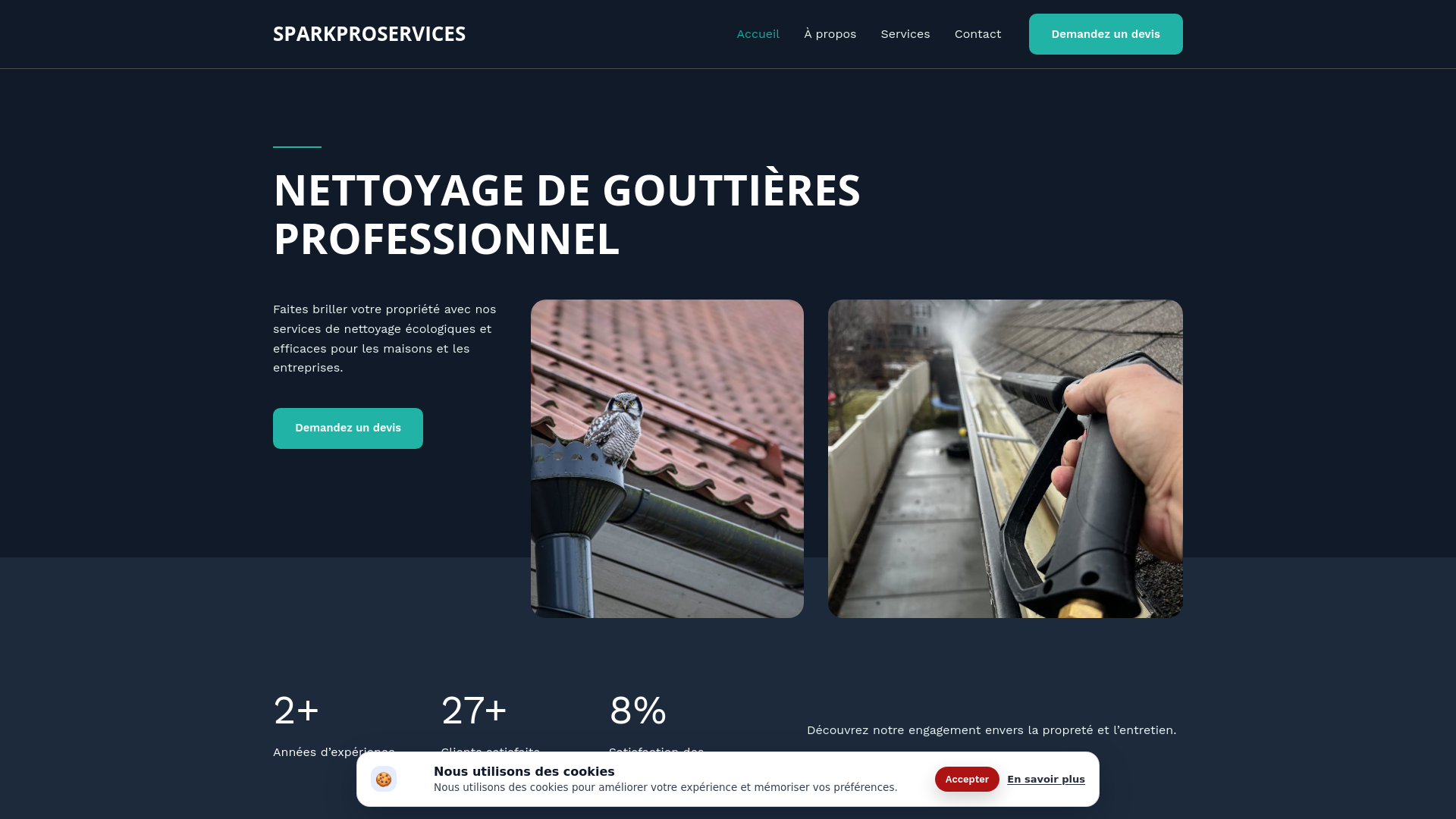 website screenshot of https://sparkproservices.cc/