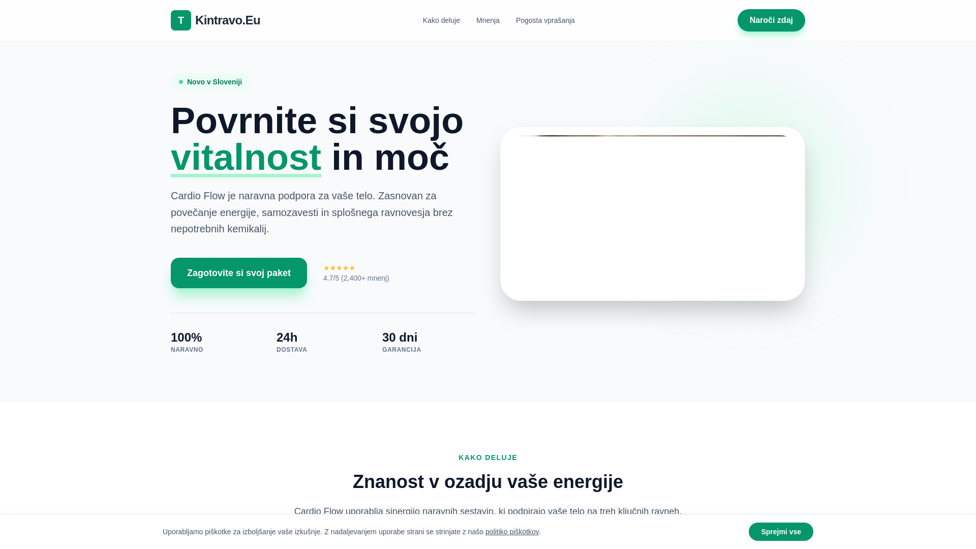 website screenshot of https://kintravo.eu/