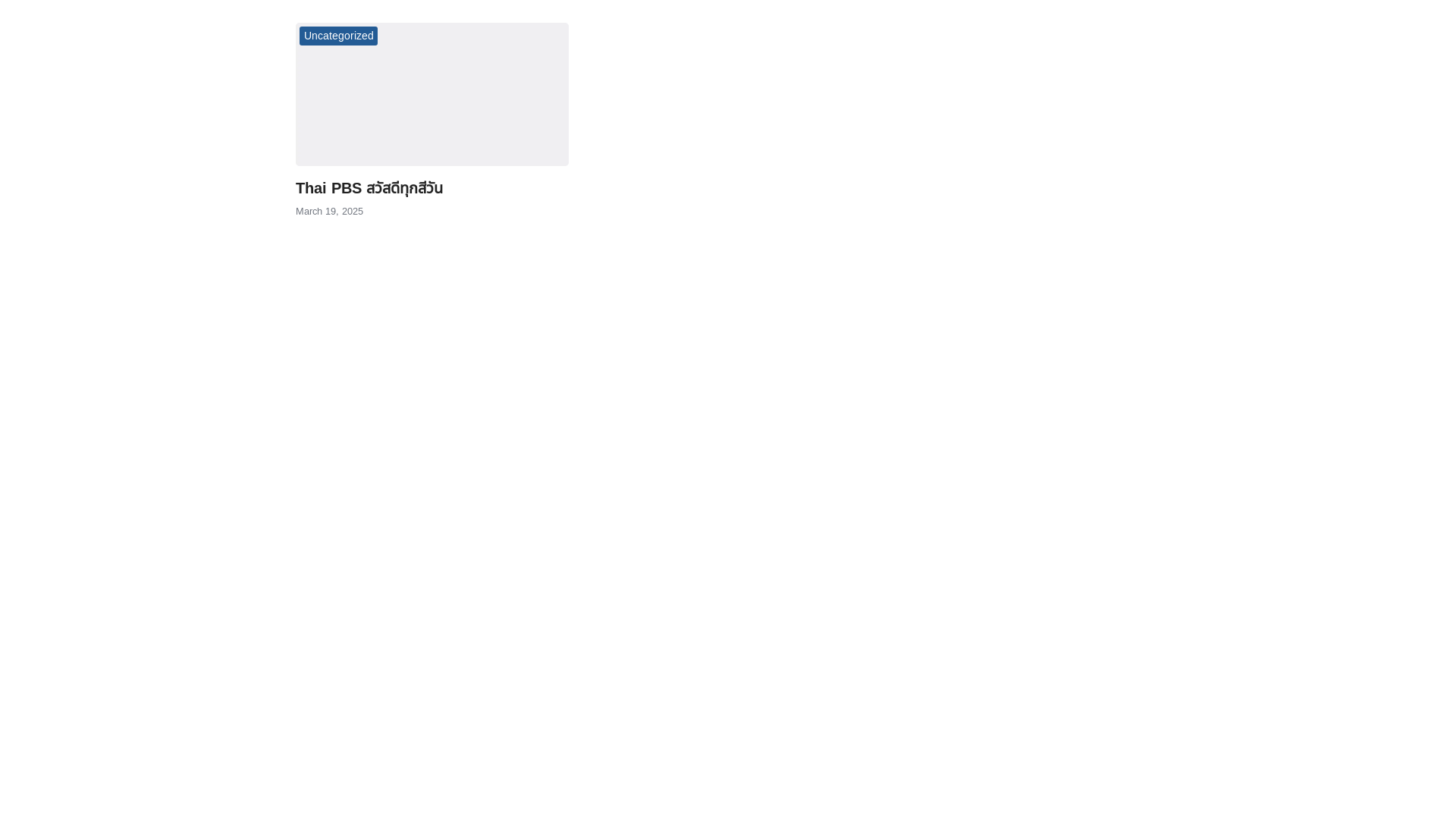website screenshot of https://thaipbs-static-sites.pages.dev/