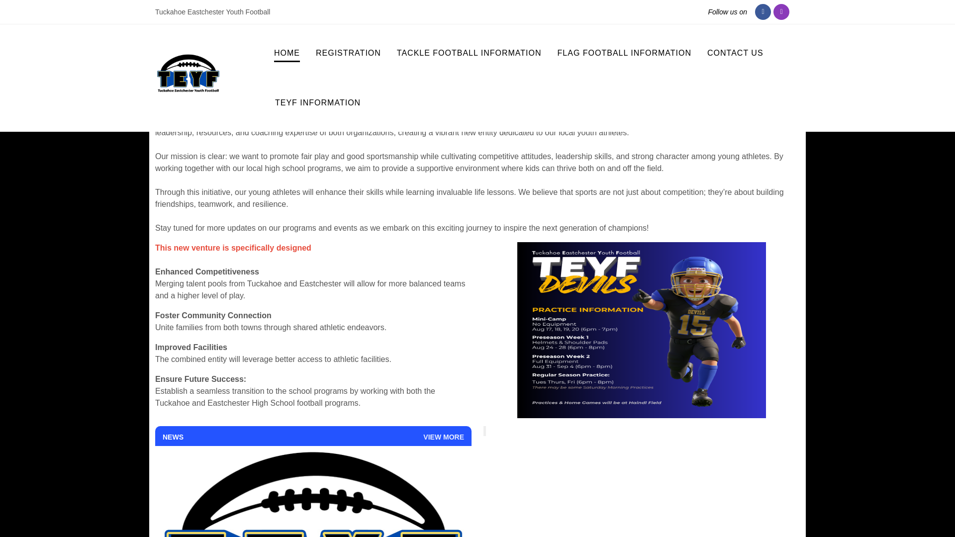 website screenshot of https://teyfdevils.com/