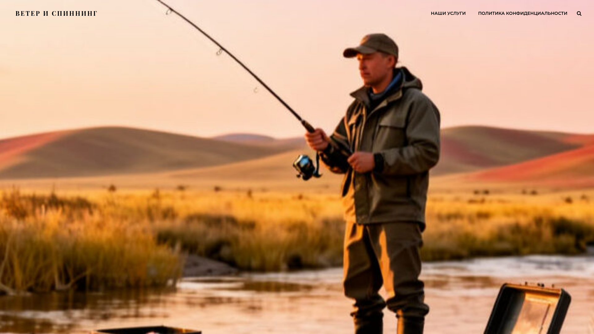 website screenshot of https://kzspinning.eu/