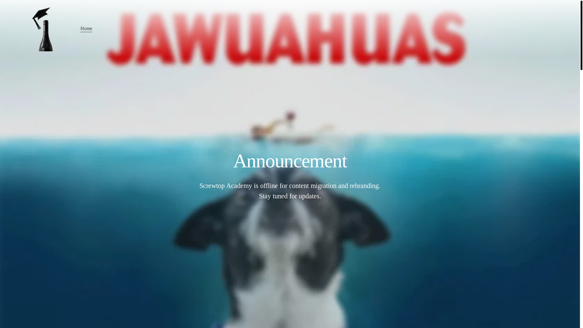 website screenshot of https://screwtoppub.com/