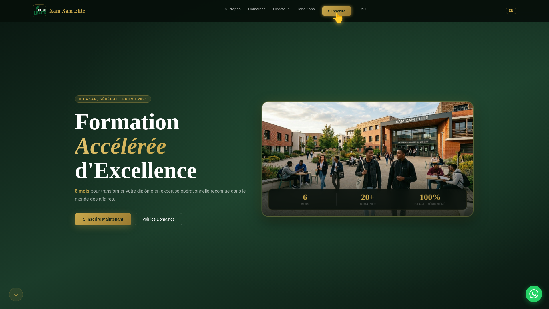 website screenshot of https://xamxamelite.com/