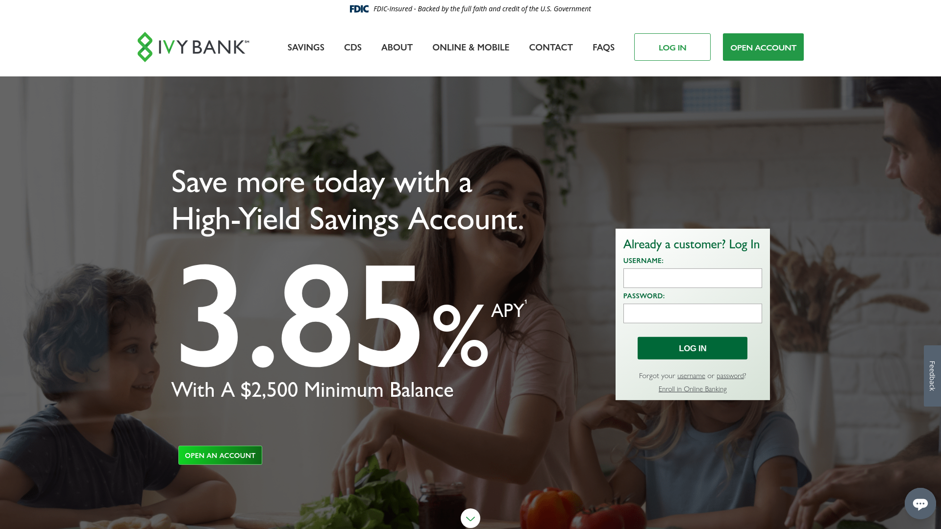 website screenshot of https://ivybank.com/