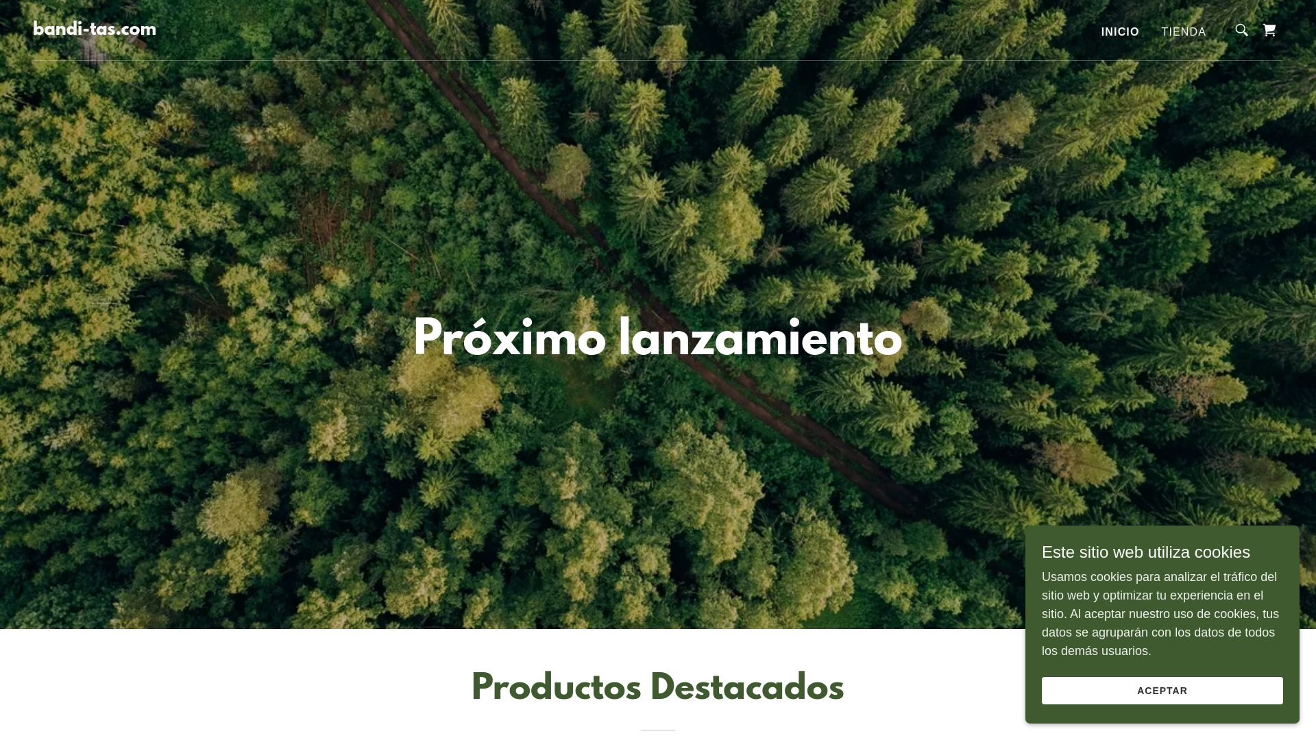 website screenshot of https://bandi-tas.com