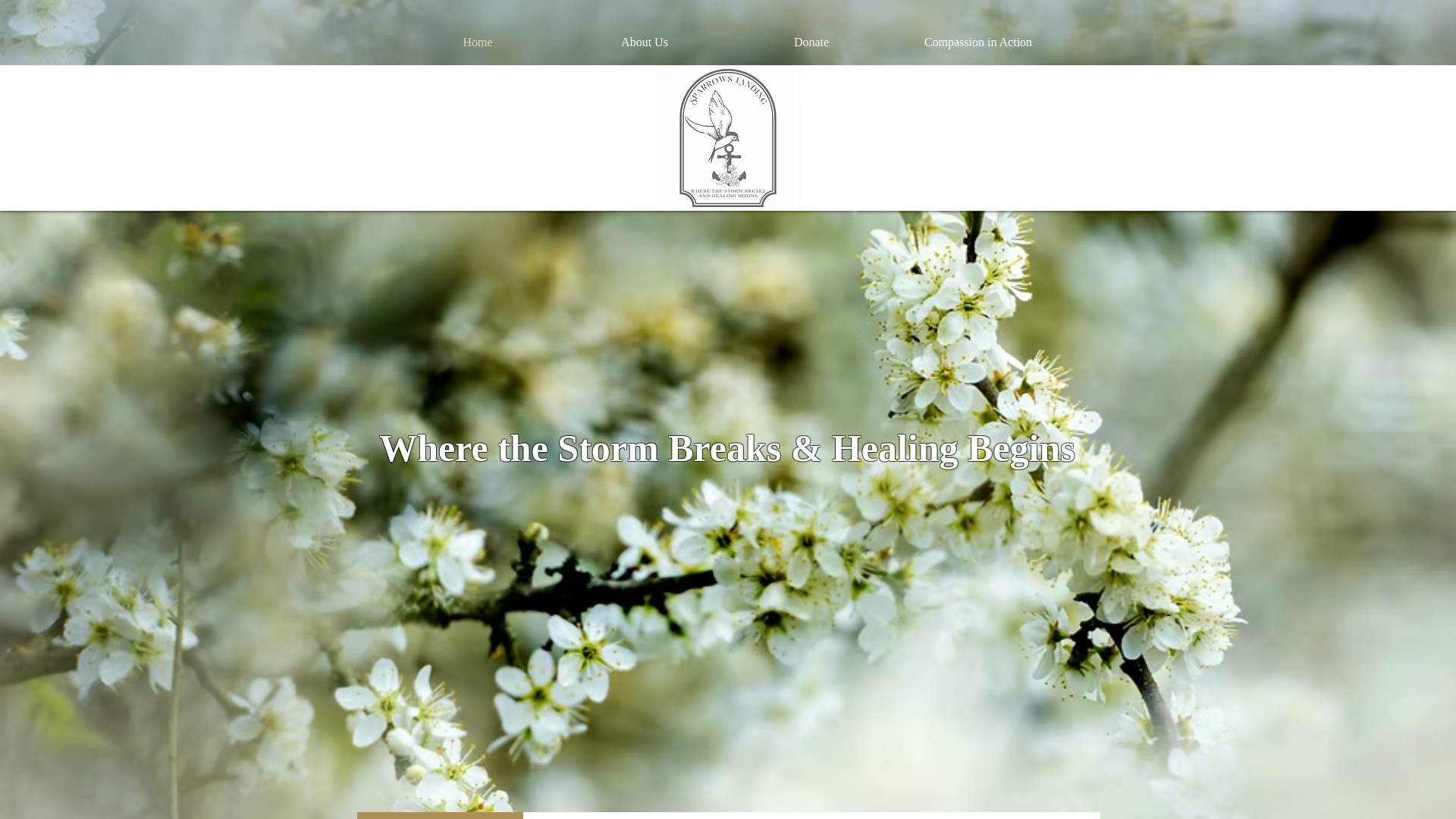 website screenshot of https://sparrowslandinghope.org/