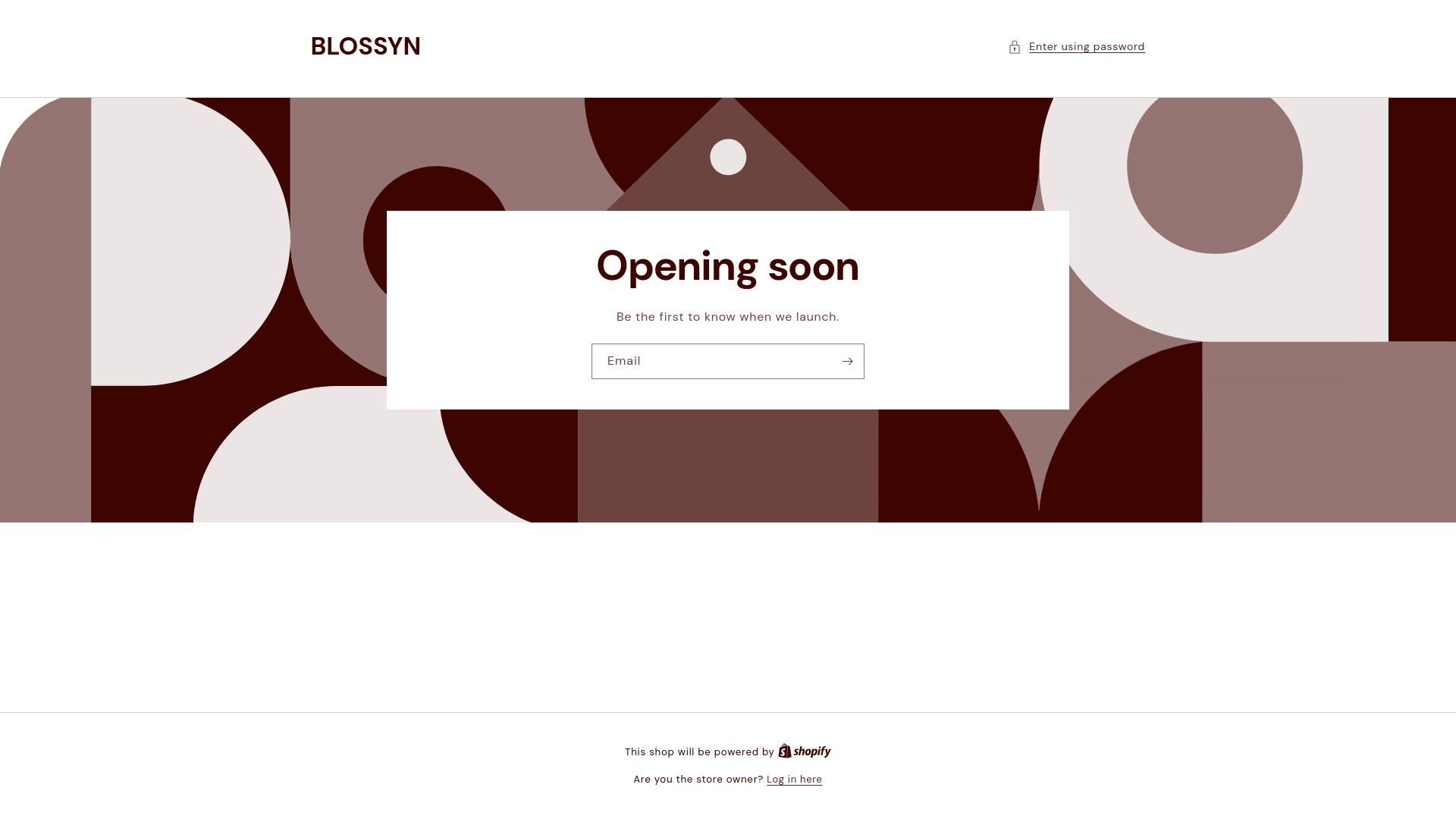 website screenshot of https://blossynn.com/
