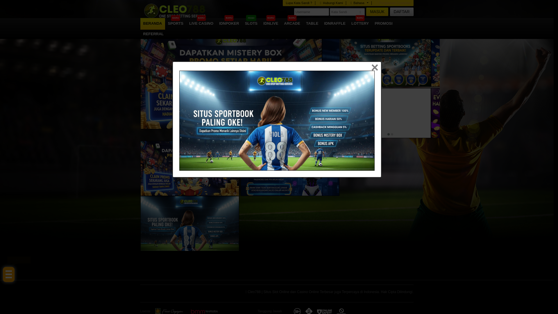 website screenshot of https://cleo788b.online/