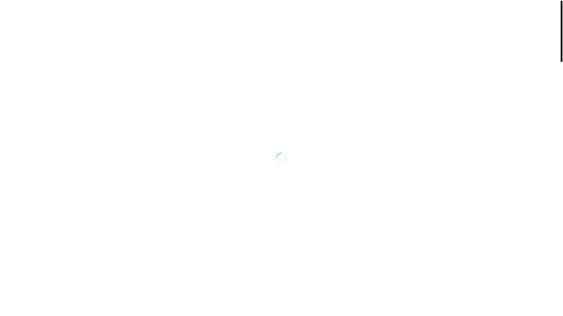 website screenshot of https://meshwarshop.com/
