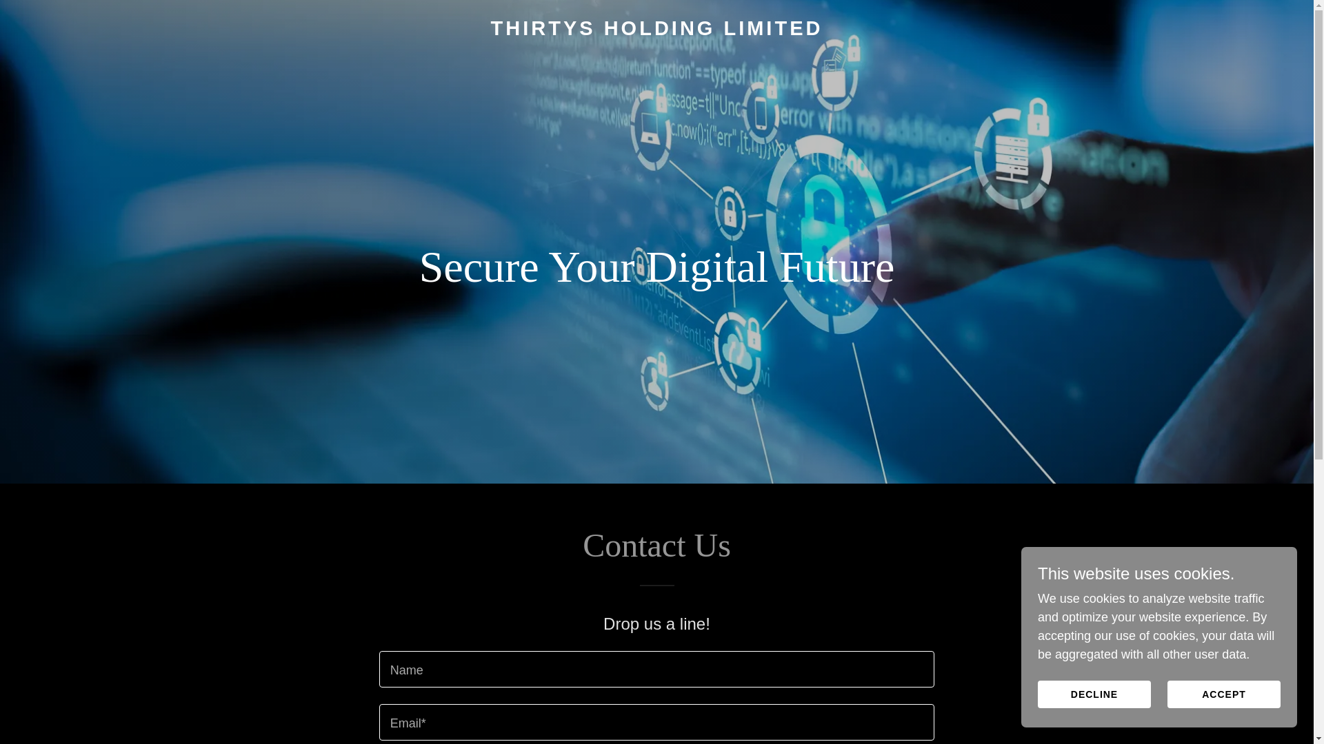 website screenshot of https://thirtysholdinglimited.co.uk/