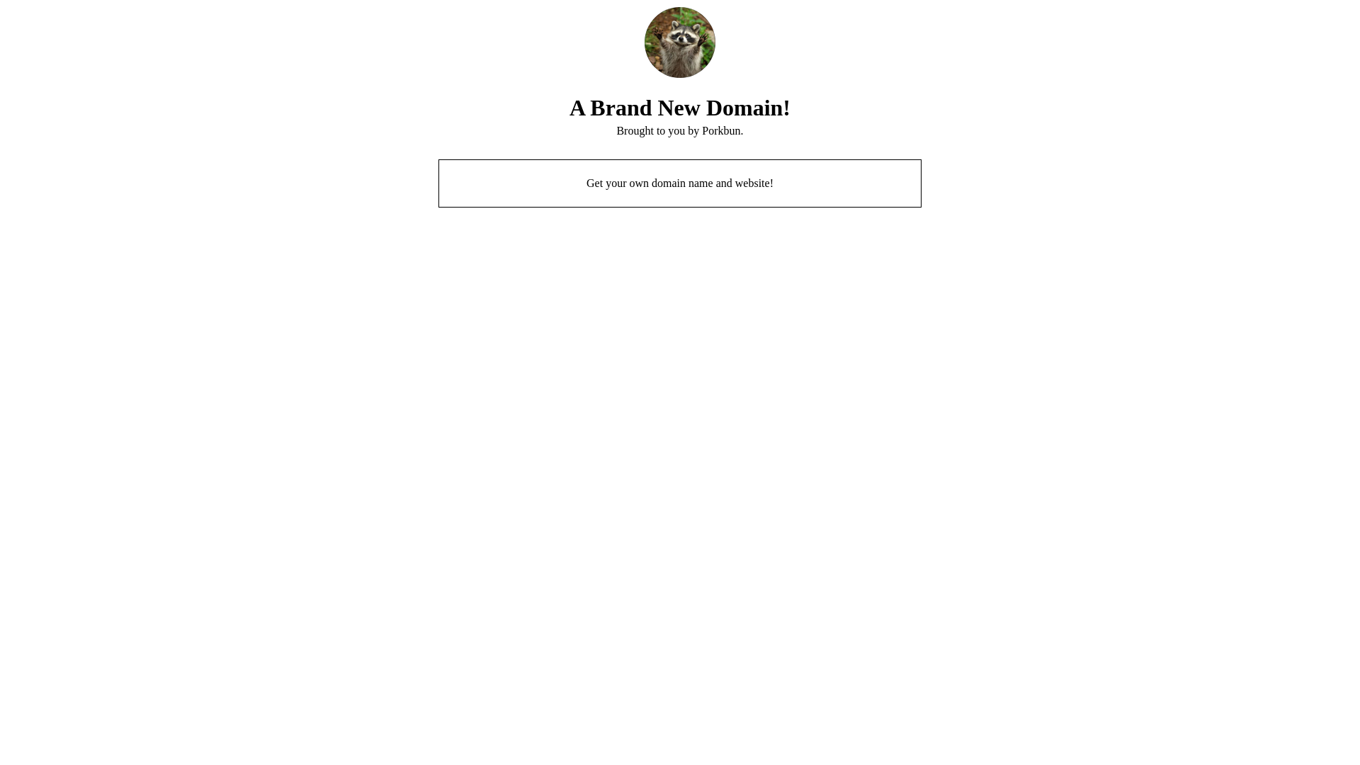 website screenshot of https://sometrashpanda.com