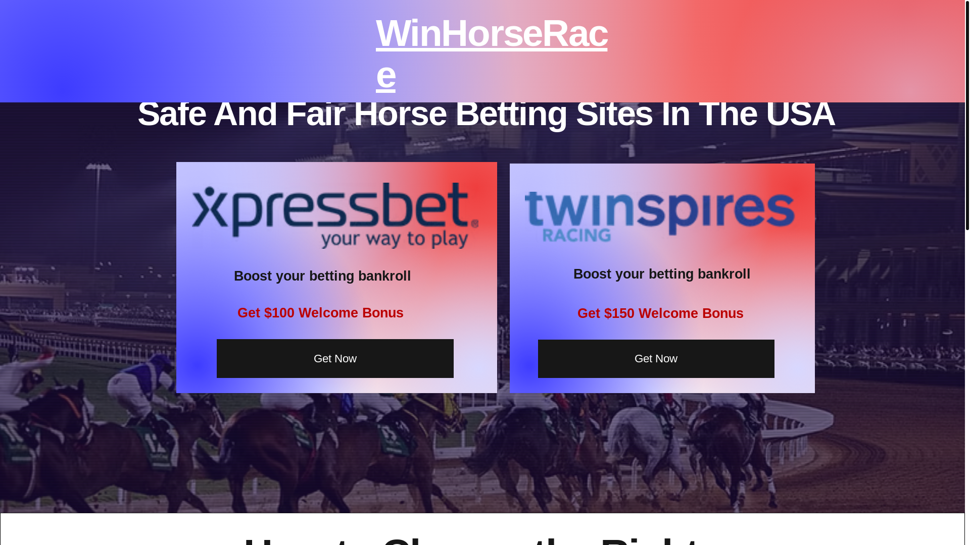 website screenshot of https://winhorserace.com/