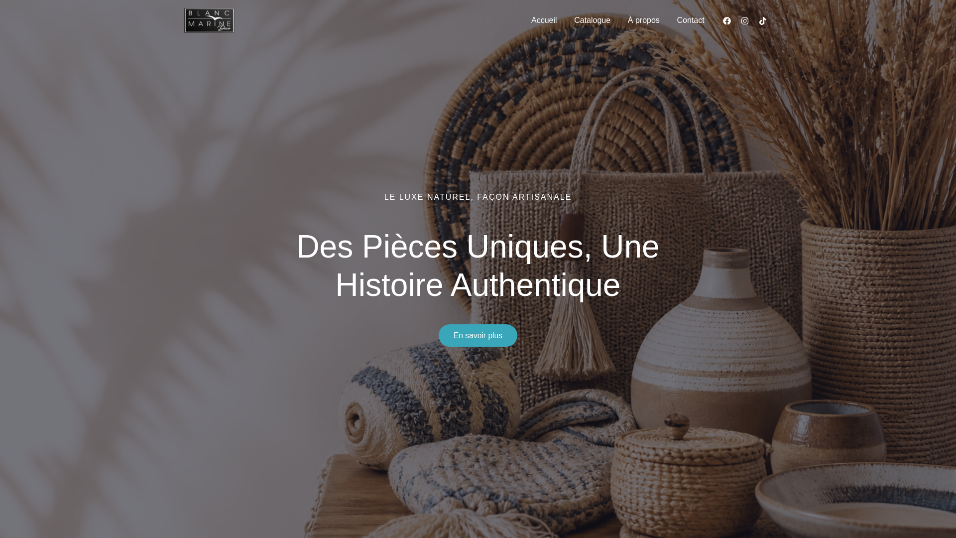 website screenshot of https://blancmarine-deco.com/