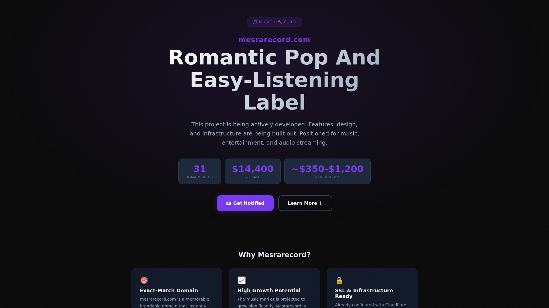 website screenshot of https://mesrarecord.com/