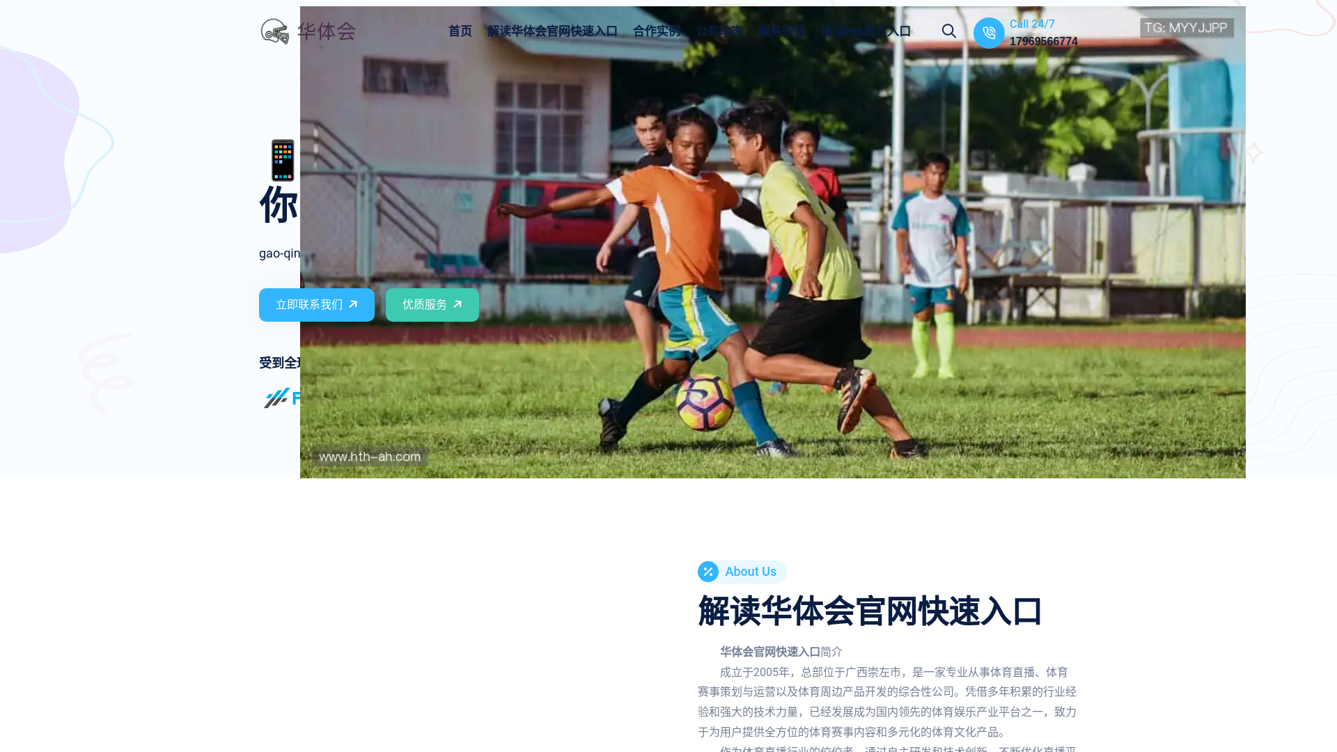 website screenshot of https://hth-ah.com/