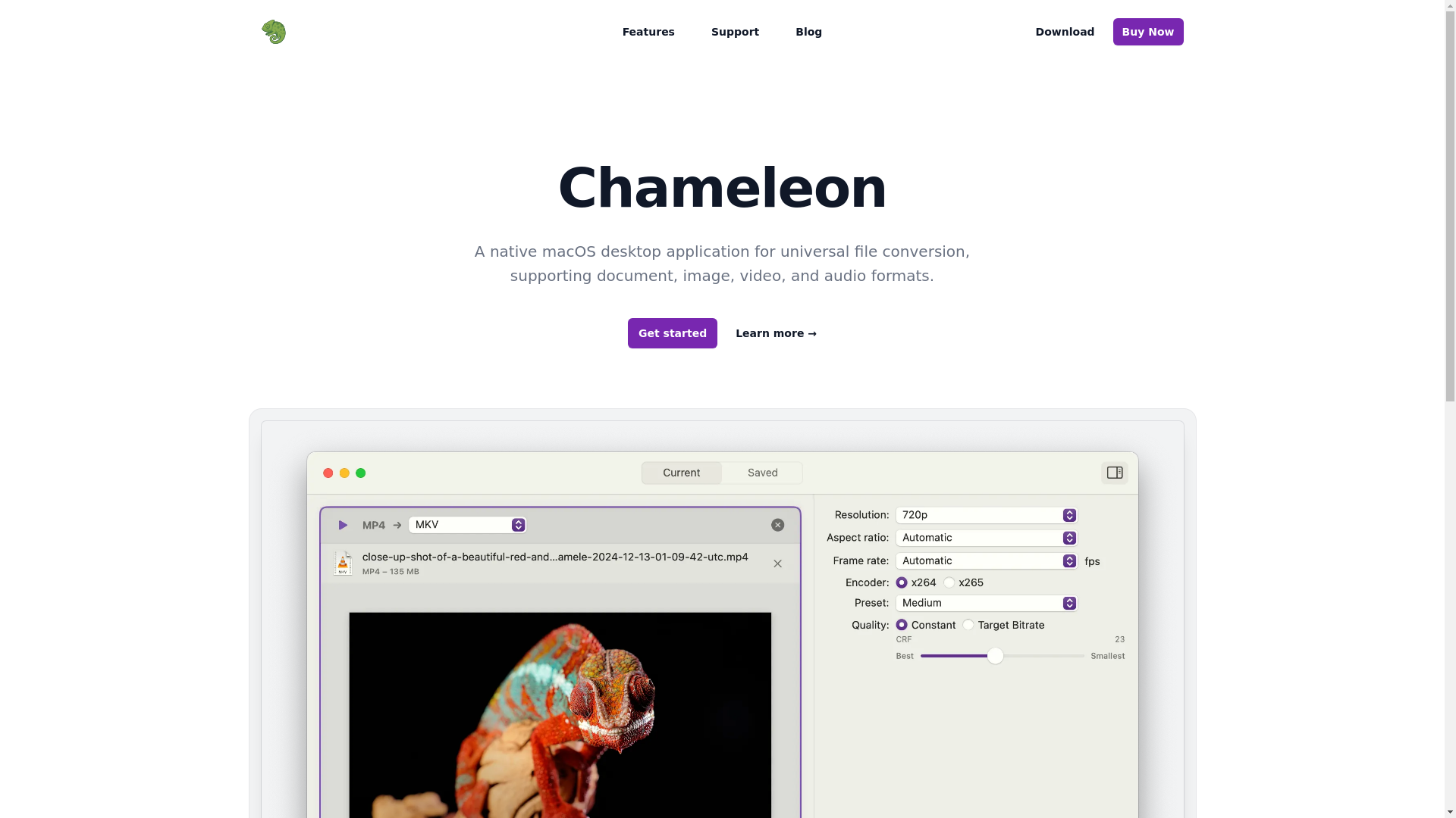 website screenshot of https://chameleon-site.pages.dev/