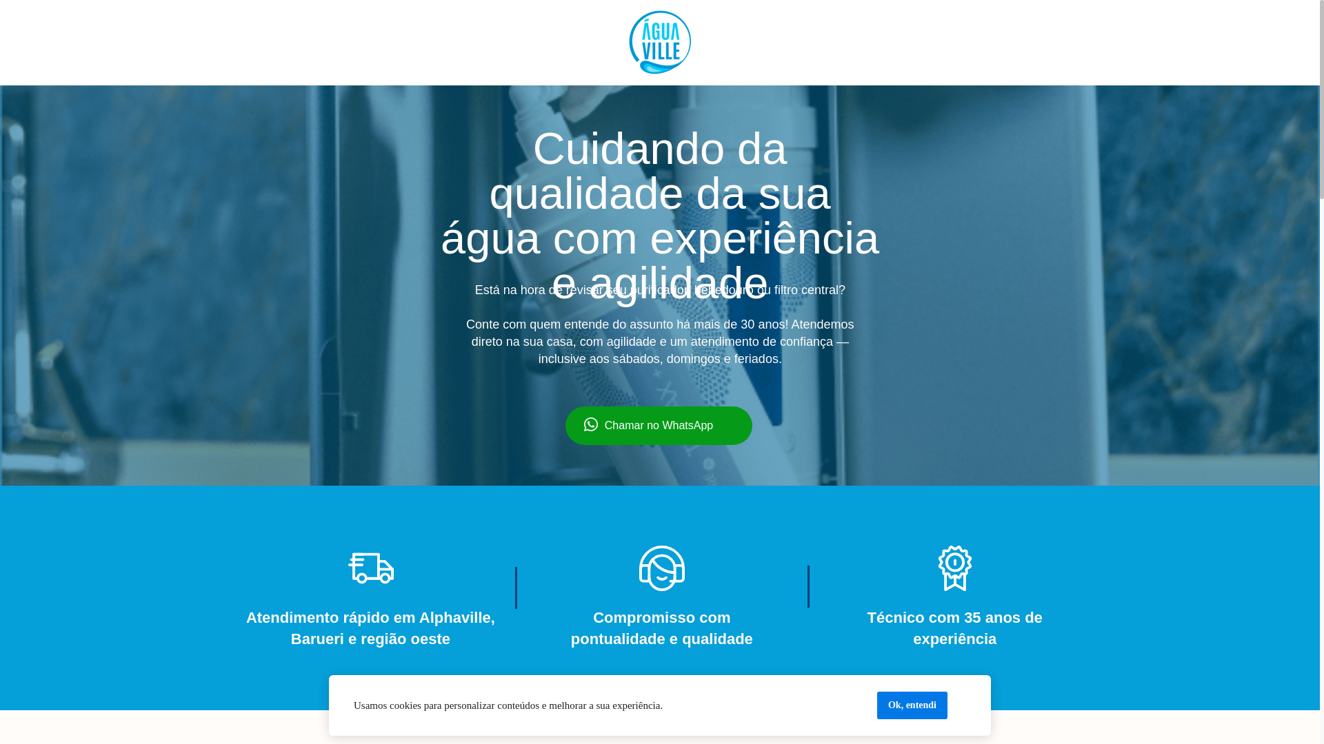website screenshot of https://aguavillesp.com.br/