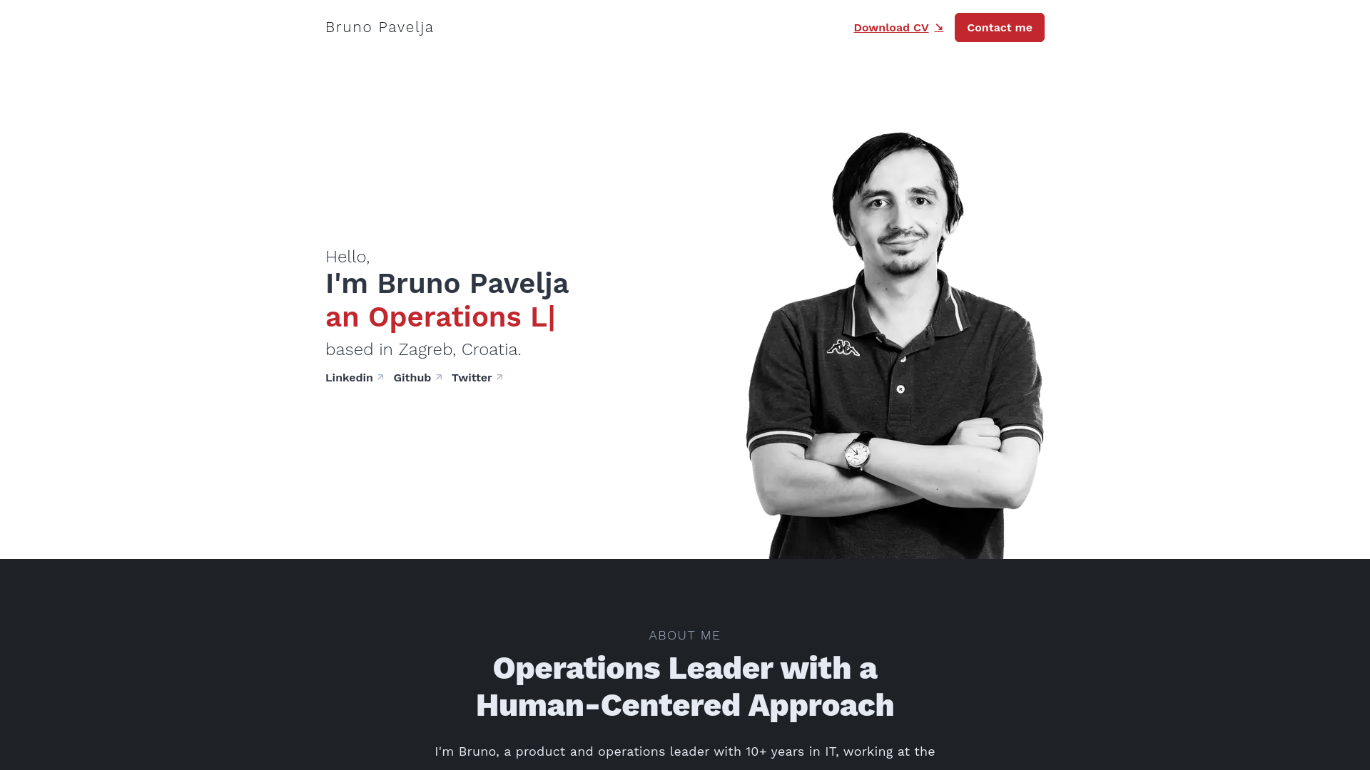 website screenshot of https://pavelja.com/