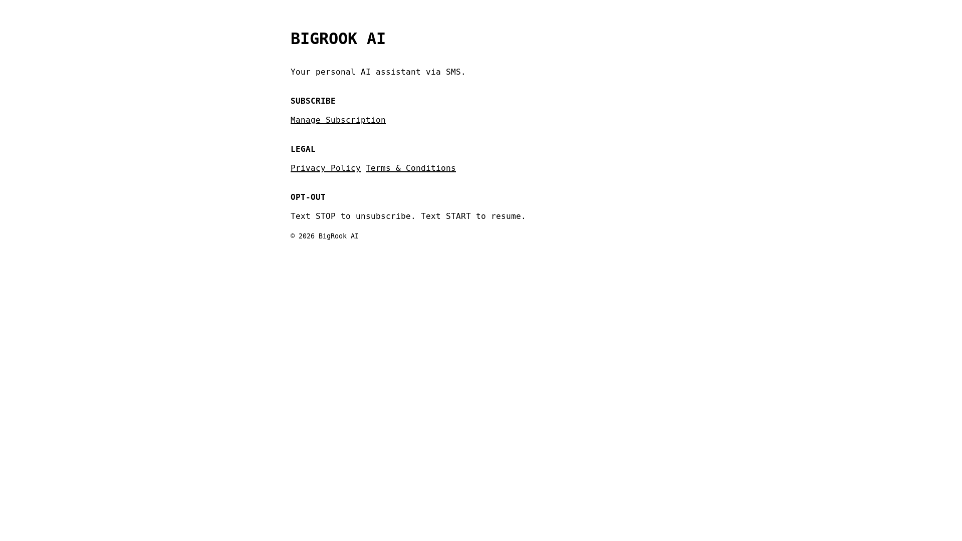 website screenshot of https://bigrook.net/