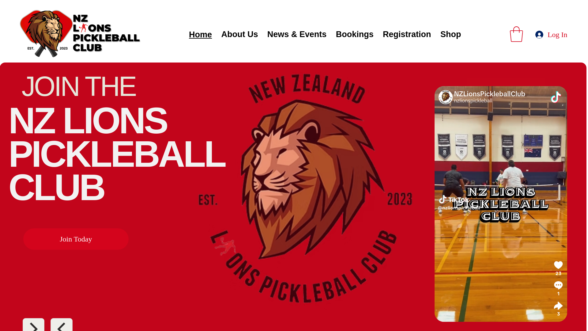 website screenshot of https://nzlionspickleballclub.com/