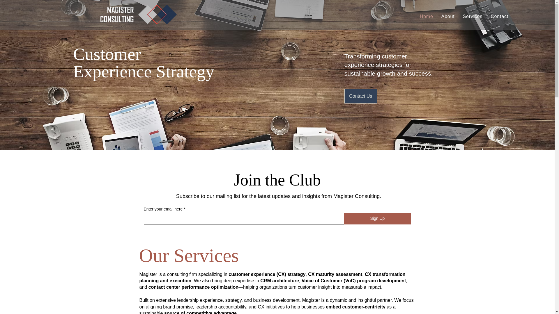website screenshot of https://magister-consulting.com.tr/