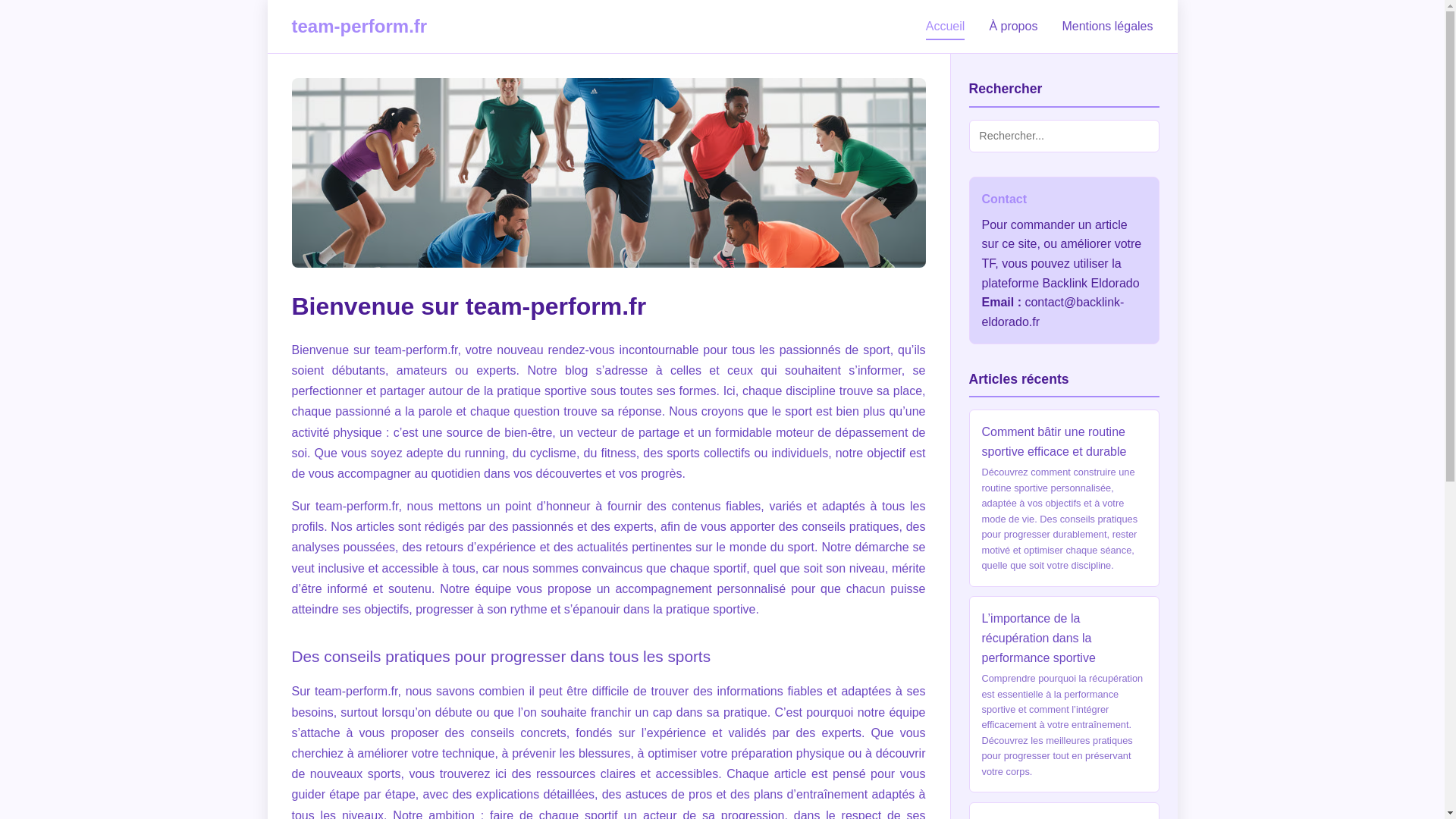 website screenshot of https://team-perform.fr/