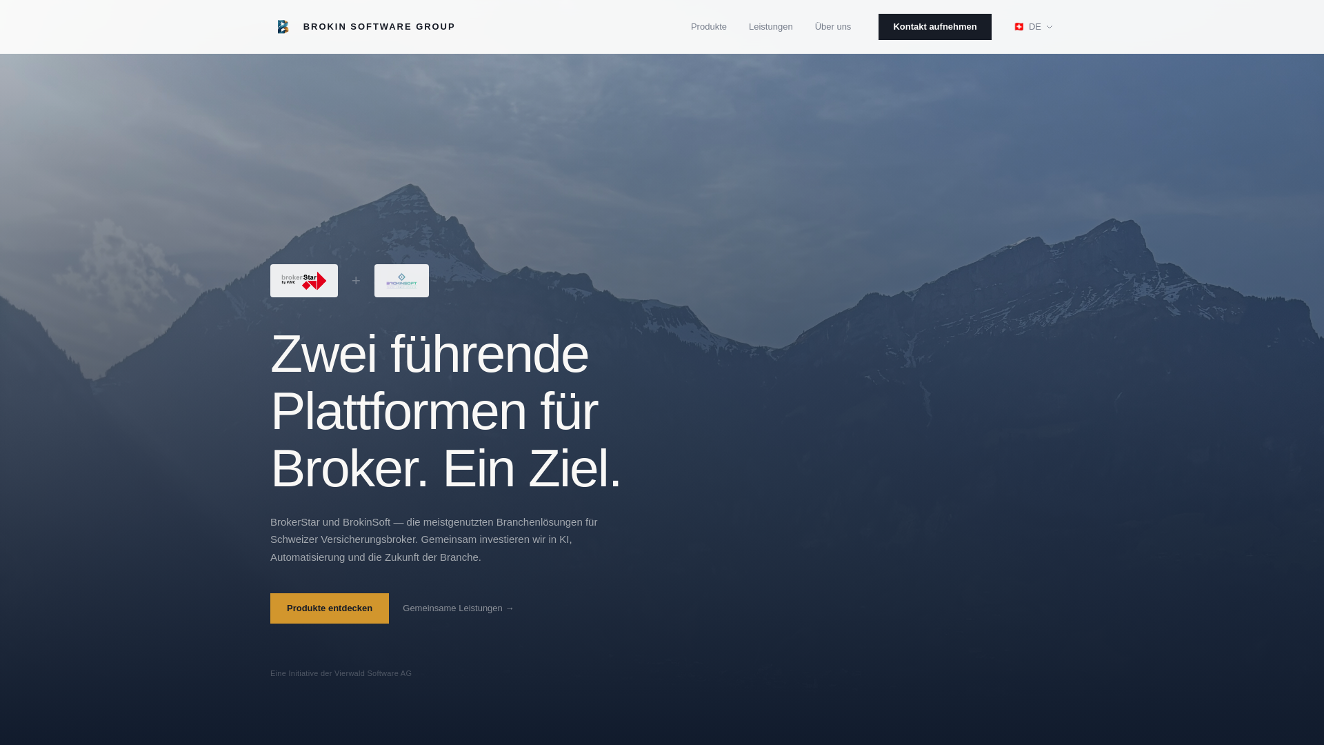 website screenshot of https://brokin-software-group.ch/