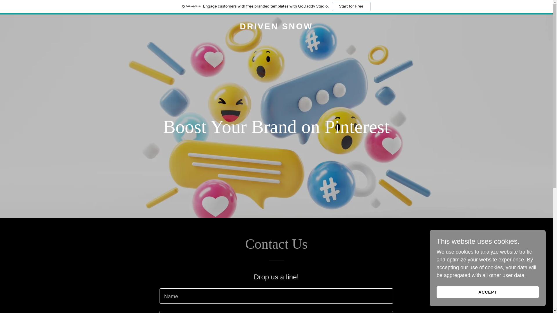 website screenshot of https://drivensnow.net.au/