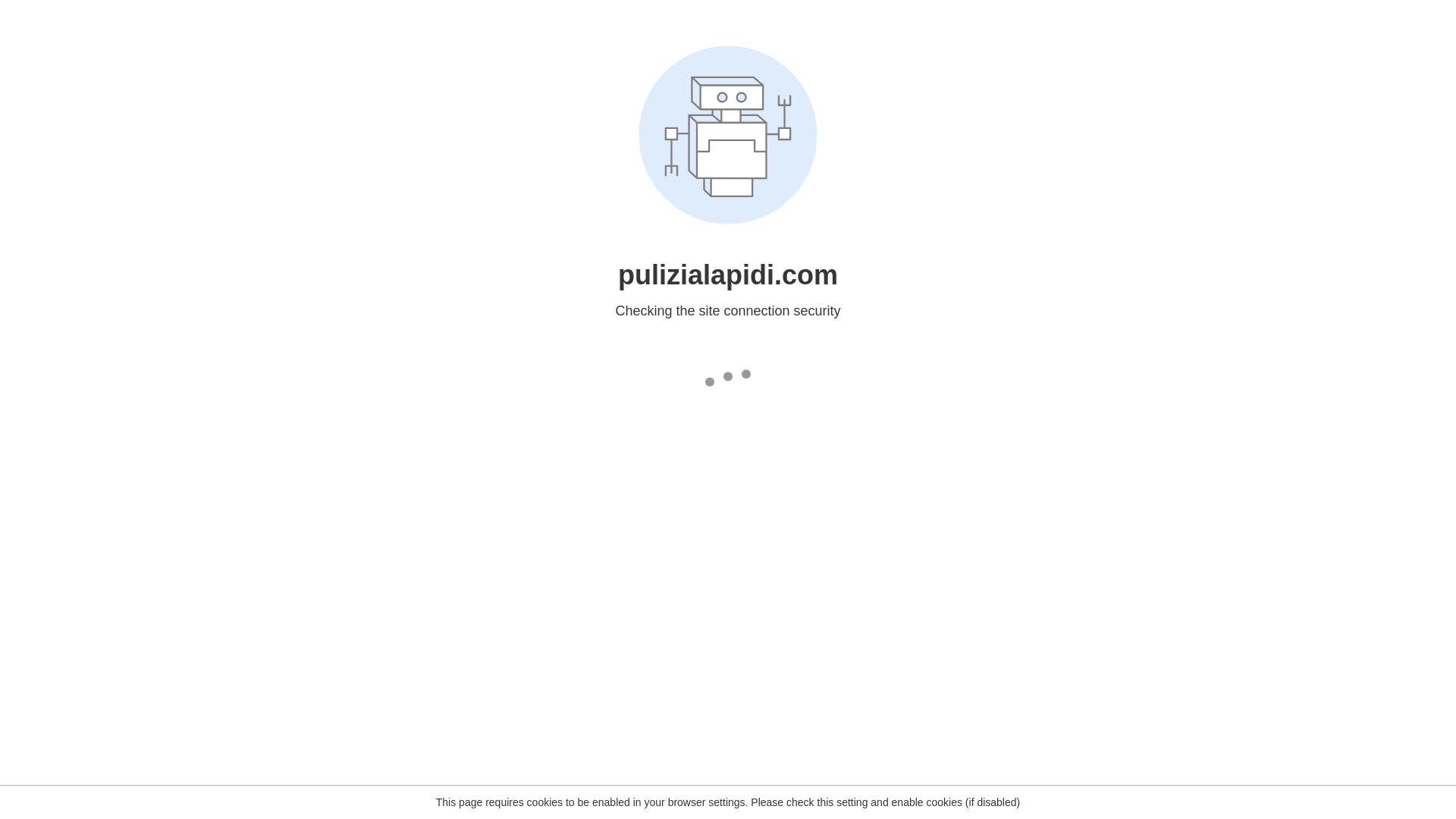 website screenshot of https://pulizialapidi.com/
