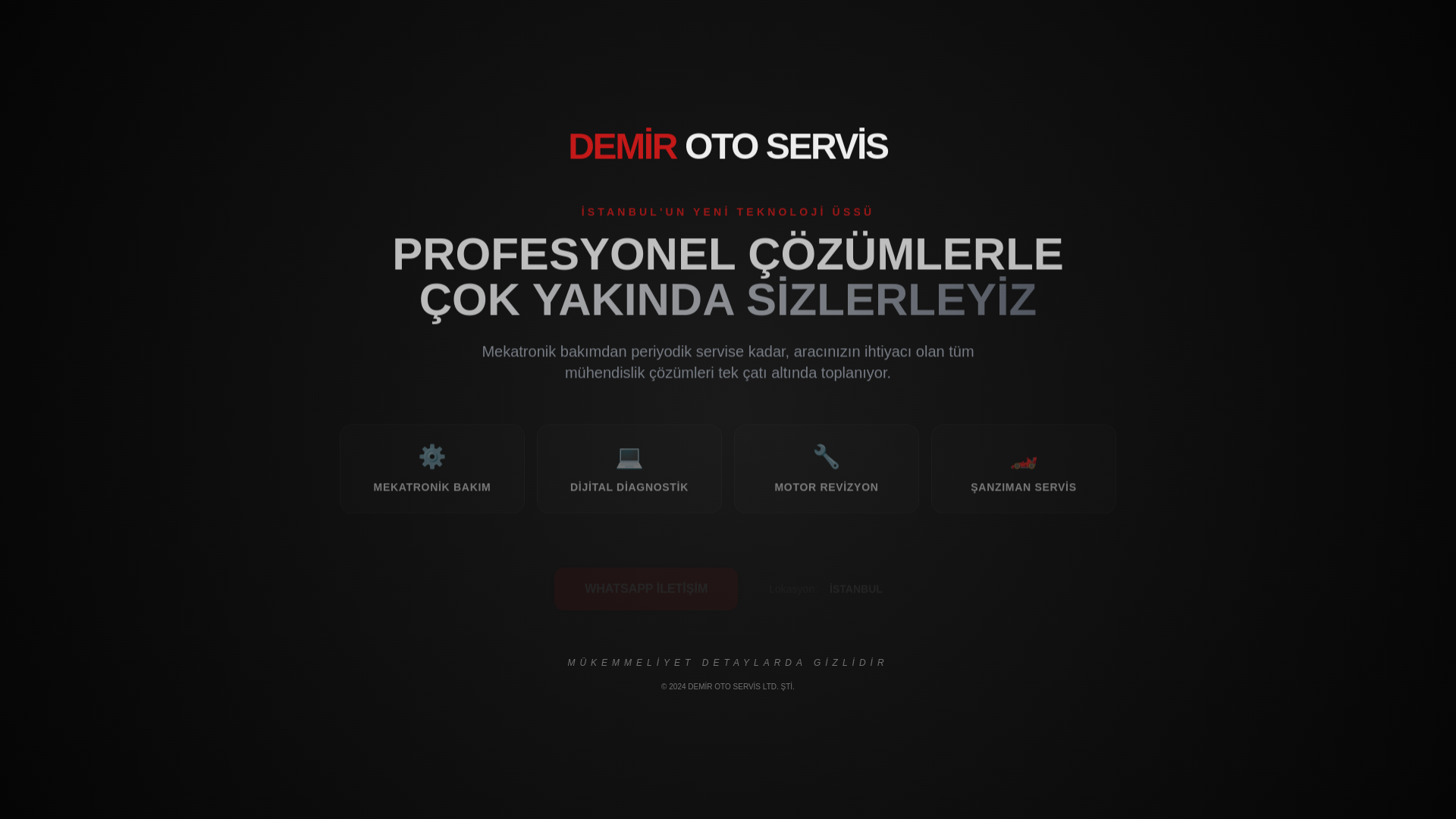 website screenshot of https://demirotoservis.net/