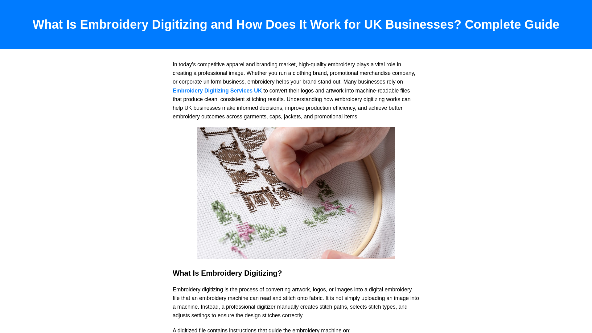 website screenshot of https://embroiderydigitizingservices.pages.dev/