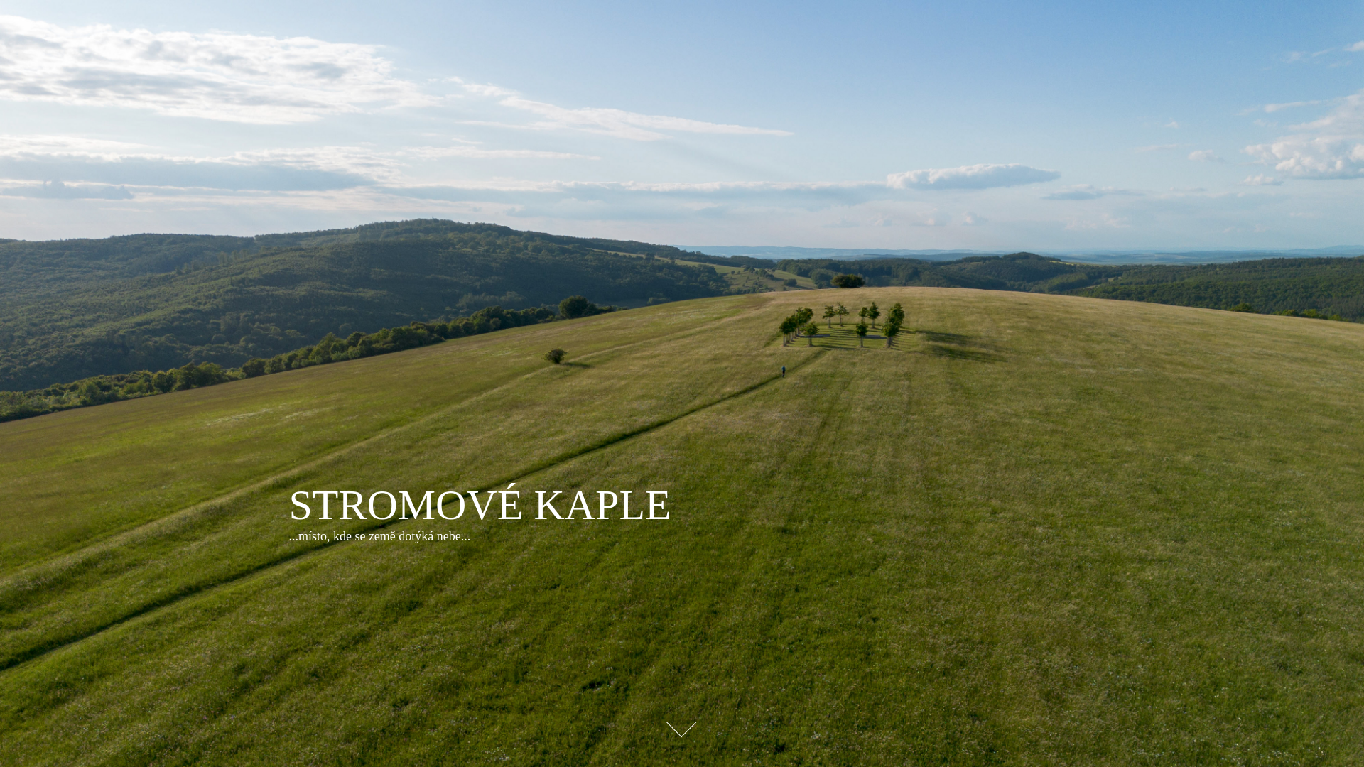 website screenshot of https://stromovekaple.cz